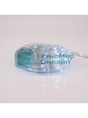 Дюралайт Neon-night LED, фиксинг (2W), 24 LED/м, белый, 25 м