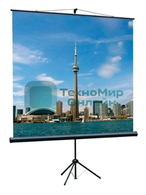 Экран на треноге Lumien 160x160см Eco View LEV-100105 1:1 напольный рулонный