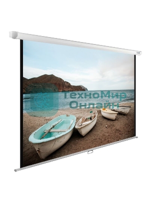 Экран Cactus 138x220см WallExpert CS-PSWE-220x138-WT 16:10 настенно-потолочный рулонный белый