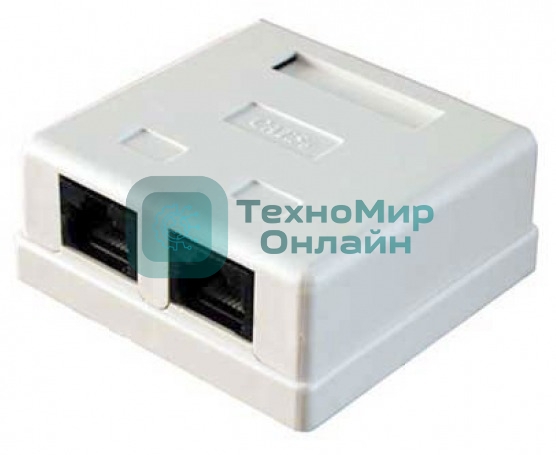 Розетка RJ45 5E кат. 2-port