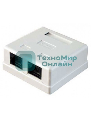 Розетка RJ45 5E кат. 2-port