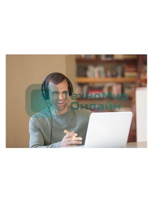 Гарнитура Logitech USB Headset H540 чёрный, проводная, USB