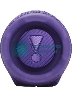 Портативная акустика JBLCHARGE6PUR пурпурный