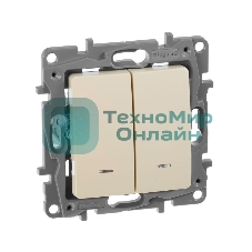 Выключатель 2-клавишный с подсветкой, на винтах, 10АХ, сл. кость