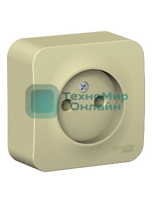 Розетка б/з без шторок, изолир. пластина 16А, 250В SE Blanca наруж Беж