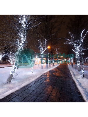 Гирлянда Neon-night LED Клип-лайт 12 V, прозрачный ПВХ, 150 мм, цвет диодов белый Flashing (белый)