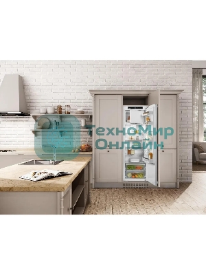 Встраиваемый холодильник Liebherr IRE 5101-22 001