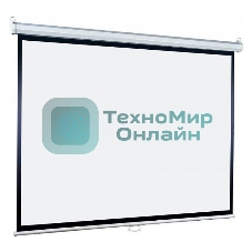 Экран Lumien 214x214см Eco Picture LEP-100110 1:1 настенно-потолочный рулонный