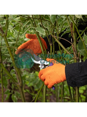 Перчатки в наборе Palisad 5 пар, цвета в ассортименте, ПВХ точка, L