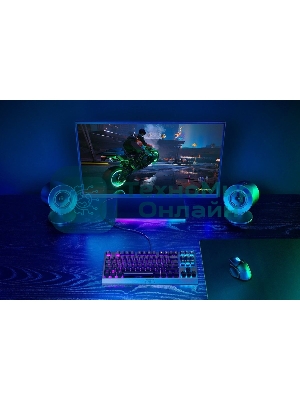 Колонки Razer Nommo V2 X RZ05-04760100-R3G1