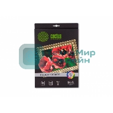Холст Cactus CS-CA426010 A4/260г/м2/10л. для струйной печати