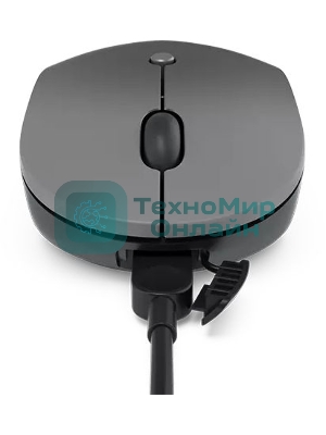 Мышь беспроводная Lenovo Go серый, 2400 dpi, радиоканал, USB-C, кнопки - 3