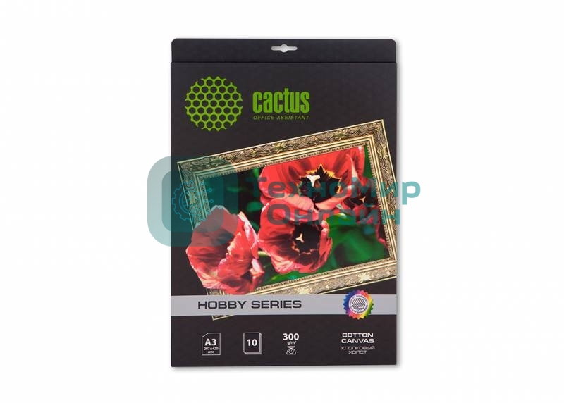 Холст Cactus CS-СA326010 A3/10л. для струйной печати