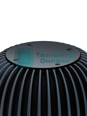 Умная колонка Sber SberBoom, 40Вт, стандартная, 1 динамик, Мультирум, Стереопара, Wi-Fi, Bluetooth 5.0, Салют, черный