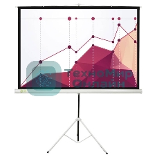 Экран Cactus 180x180 см Triscreen CS-PST-180x180 1:1 напольный рулонный белый