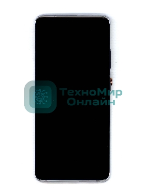 Дисплей для Samsung Galaxy S21 Ultra 5G SM-G998B/DS серебро