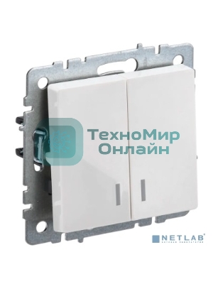 Выключатель 2-кл. СП BRITE ВС10-2-1-БрБ 10А с инд. белый IEK BR-V20-1-10-K01