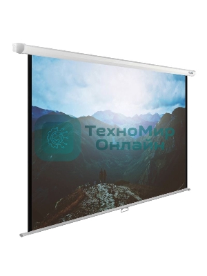 Экран Cactus 240x240 см WallExpert CS-PSWE-240x240-WT 1:1 настенно-потолочный рулонный