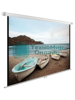 Экран Cactus 138x220см WallExpert CS-PSWE-220x138-WT 16:10 настенно-потолочный рулонный белый