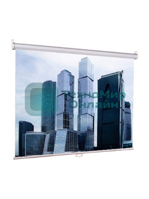 Экран Lumien 200x200 см Eco Picture LEP-100103 1:1 настенно-потолочный рулонный