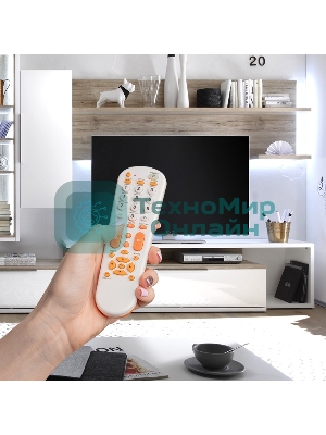 Универсальный пульт дистанционного управления Rexant для телевизора (RX-951)