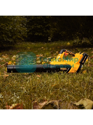 Воздуходувка аккумуляторная RB180-36, Li-ion, 36 В, 4 Ач, 180 км/ч, 820 м3/ч Denzel