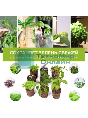 Набор питательных губок Cactus CS-SPONGE-11 для проращивания для CS-LEDPOT-11/SMARTPOT-11 (упак.:11шт) пакет