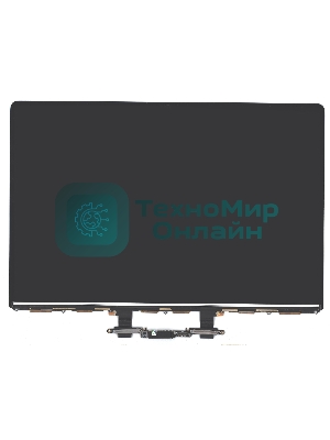 Матрица для MacBook Pro 15 Retina A1990