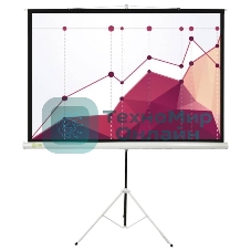 Экран Cactus 180x180 см Triscreen CS-PST-180x180 1:1 напольный рулонный белый