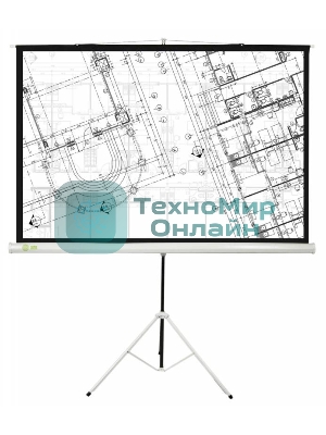 Экран Cactus 127x127см Triscreen CS-PST-127X127 1:1 напольный рулонный белый