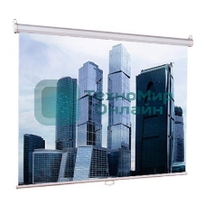 Экран Lumien 160x160 см Eco Picture LEP-100105 1:1 настенно-потолочный рулонный