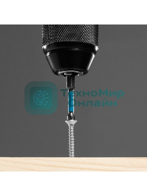 Набор бит торсионных Gross PH2x50 мм, для ударных шуруповертов, 10 шт.