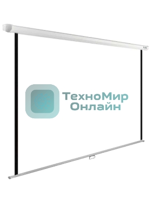 Экран Cactus 200x200 см WallExpert CS-PSWE-200x200-WT 1:1 настенно-потолочный рулонный