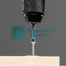 Набор бит торсионных Gross PZ2x50 мм, для ударных шуруповертов, 10 шт.