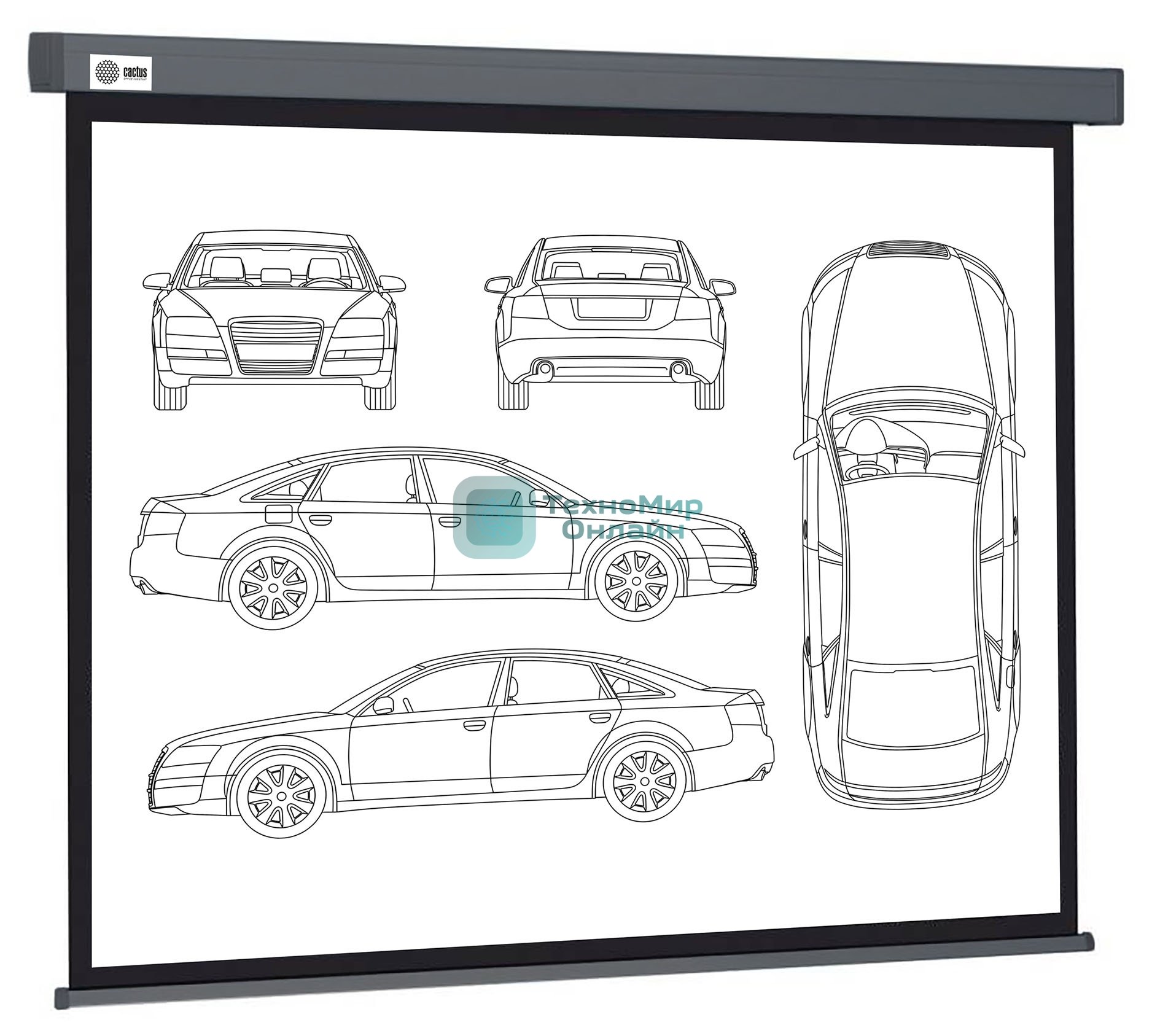 Экран Cactus 168x299см Wallscreen CS-PSW-168X299-SG 16:9 настенно-потолочный рулонный серый