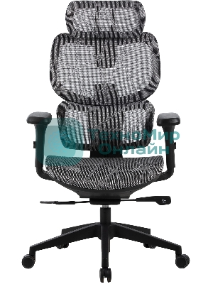 Кресло Cactus CS-MC555-GY черный, сетка