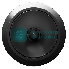 Колонки автомобильные ACV ST-25PRO (без решетки) 100Вт 107дБ 4Ом 2.5см (1дюйм) (ком.:1кол.) твитер однополосные