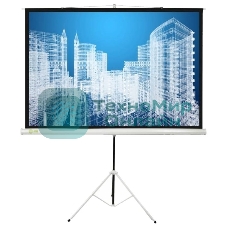 Экран Cactus 104.4x186см Triscreen CS-PST-104x186 1:1 напольный рулонный белый