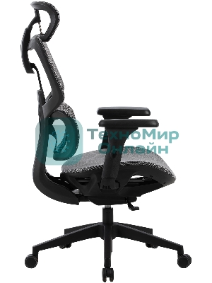 Кресло Cactus CS-MC555-GY черный, сетка