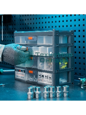 Органайзер Stels для хранения с выдвижными лотками 310х150х260мм, 4 секции, пластик