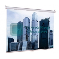 Экран Lumien 160x160 см Eco Picture LEP-100105 1:1 настенно-потолочный рулонный