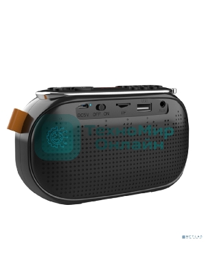 Радиоприемник Ritmix RPR-008 черный