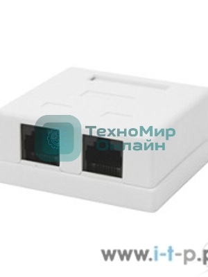 Розетка GEMBIRD NA214 RJ-45 кат.5e внешняя 2 порта, 110/Krone