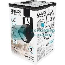 Светильник Gauss TR009 черный
