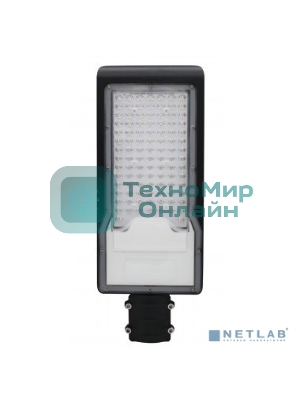 Светильник светодиодный консольный Rexant ДКУ 02-100-5000К-Ш асимметричный IP65 черный