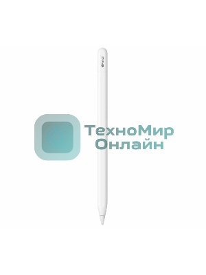 Перо-карандаш Apple Pencil (USB-C)