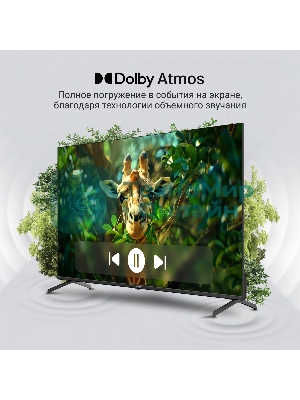 Телевизор Digma 55