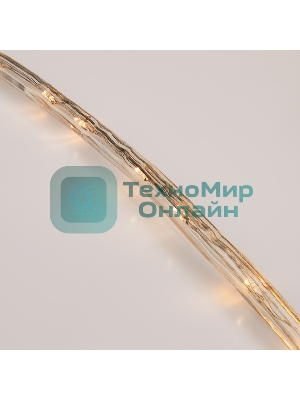 Дюралайт Neon-night LED, свечение с динамикой (3W), 24 LED/м, теплый белый, 6м