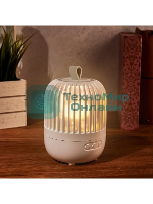 Светодиодный ночник-проектор Neon-night Melony