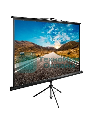 Экран Cactus 160x160 см TriExpert CS-PSTE-160x160-BK 1:1 напольный рулонный